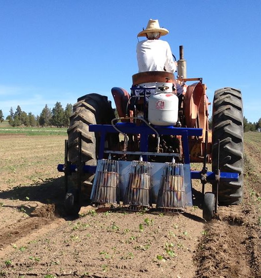 Market Farm Three Basket Bed Treatment