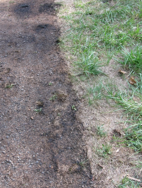 SpHot Weeder edging og gravel driveway adjacent to sod.